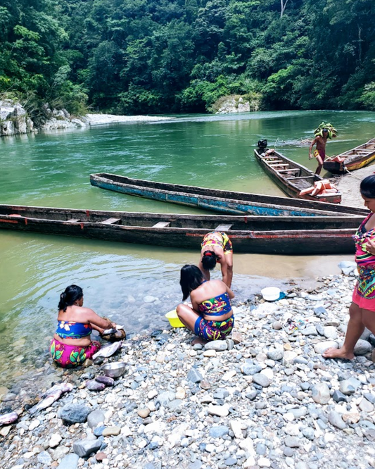 "Introducing Pure Water Pty: Your Trusted Online Shop for Berkey Water Systems in Panama"