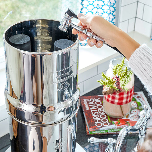 Is the Berkey Expensive?